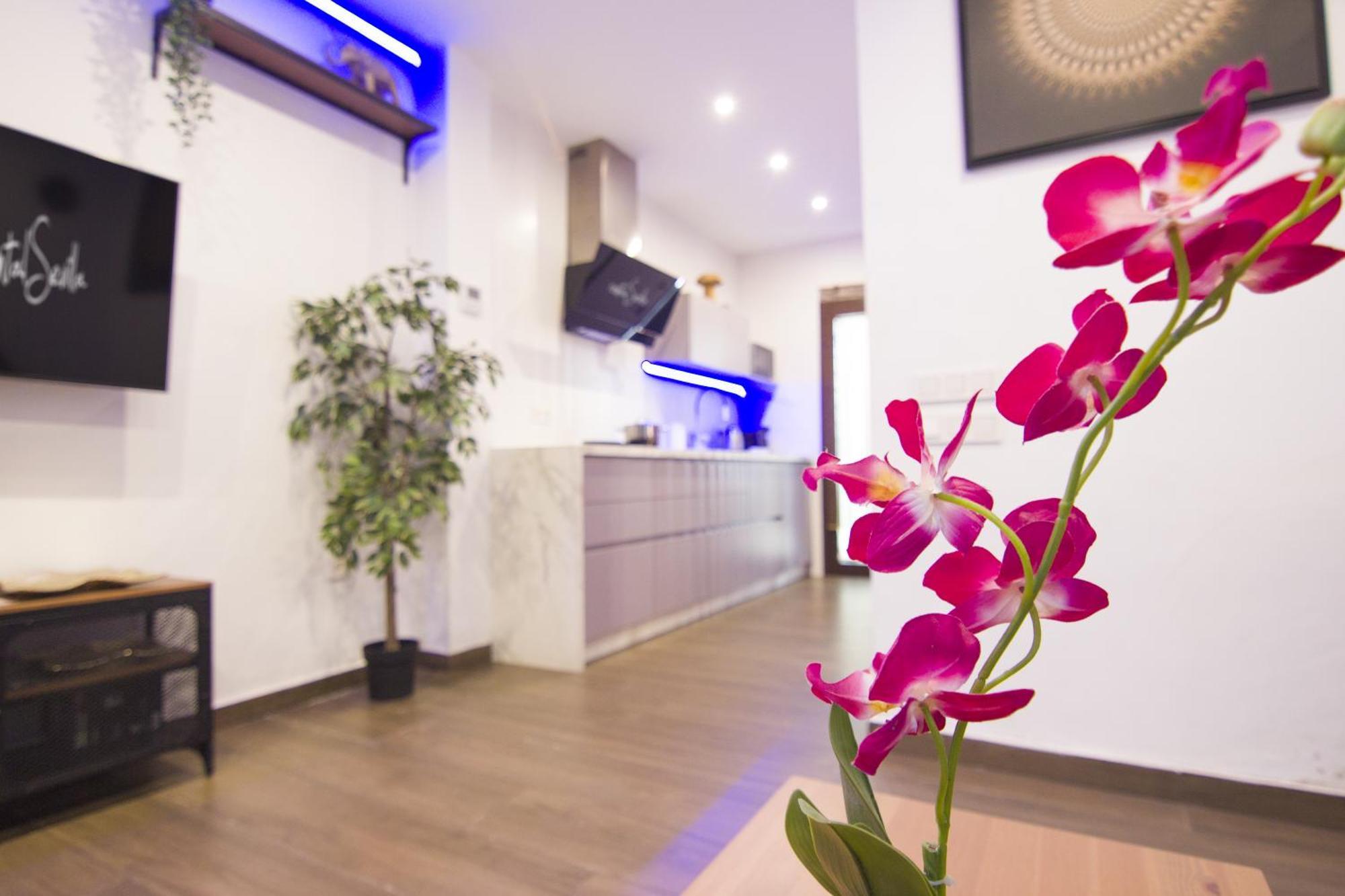 Appartement Rentalsevilla Looks Pretty And Modern